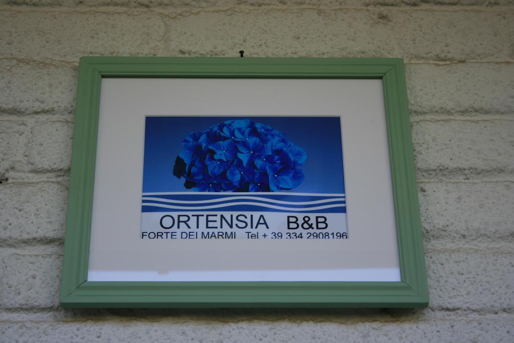 B&B Ortensia Φόρτε ντε Μάρμι Εξωτερικό φωτογραφία